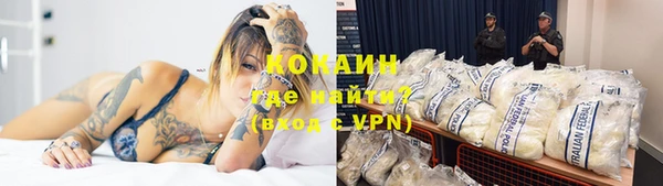 бошки Заводоуковск